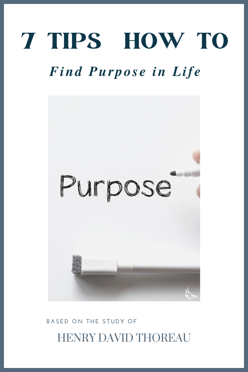 7 Tips on How to Find Purpose in Life [Thoreau] - Effluo